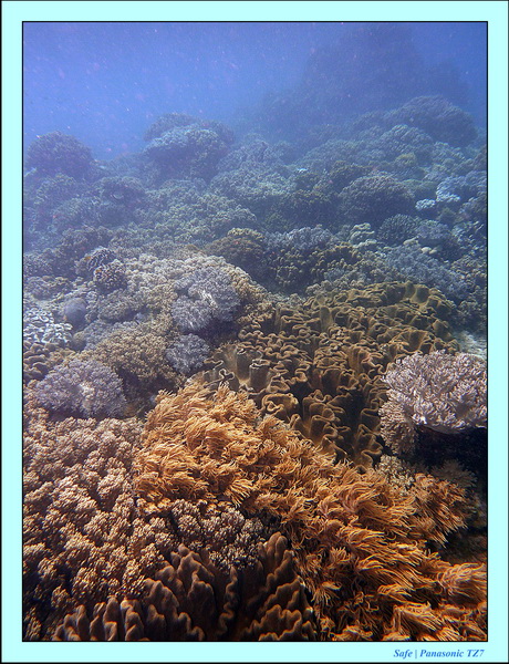 2012 - 07 - Apoh Island 17